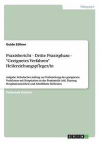 bokomslag Praxisbericht - Dritte Praxisphase - "Geeignetes Verfahren" Heilerziehungspfleger/in