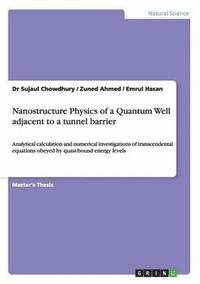 bokomslag Nanostructure Physics of a Quantum Well adjacent to a tunnel barrier