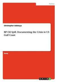 bokomslag BP Oil Spill. Documenting the Crisis in Us Gulf Coast