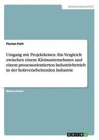 bokomslag Umgang mit Projektkrisen. Ein Vergleich zwischen einem Kleinunternehmen und einem prozessorientierten Industriebetrieb in der holzverarbeitenden Industrie