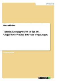 bokomslag Verschuldungsgrenzen in der EU. Gegenüberstellung aktueller Regelungen
