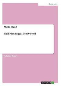 bokomslag Well Planning at Molly Field