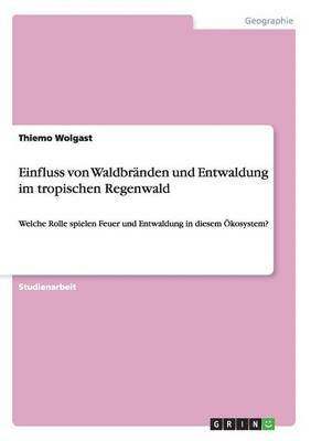 bokomslag Einfluss von Waldbränden und Entwaldung im tropischen Regenwald