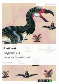 bokomslag Argentavis