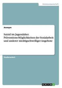 bokomslag Suizid im Jugendalter. Prventions-Mglichkeiten der Sozialarbeit und anderer niedrigschwelliger Angebote