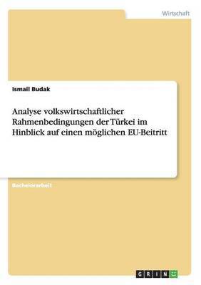 bokomslag Analyse volkswirtschaftlicher Rahmenbedingungen der Trkei im Hinblick auf einen mglichen EU-Beitritt