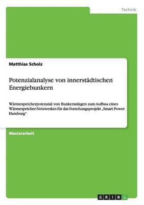 Matthias Scholz - Potenzialanalyse von innerstädtischen Energiebunkern, Häftad