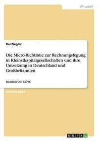 bokomslag Die Micro-Richtlinie Zur Rechnungslegung in Kleinstkapitalgesellschaften Und Ihre Umsetzung in Deutschland Und Grobritannien