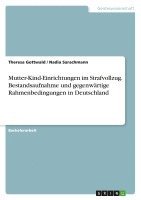 bokomslag Mutter-Kind-Einrichtungen Im Strafvollzug. Bestandsaufnahme Und Gegenwartige Rahmenbedingungen in Deutschland