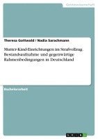 Mutter-Kind-Einrichtungen Im Strafvollzug. Bestandsaufnahme Und Gegenwartige Rahmenbedingungen in Deutschland 1