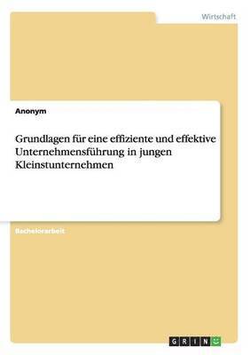 bokomslag Grundlagen fr eine effiziente und effektive Unternehmensfhrung in jungen Kleinstunternehmen