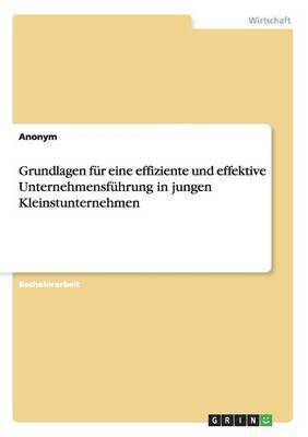 bokomslag Grundlagen für eine effiziente und effektive Unternehmensführung in jungen Kleinstunternehmen