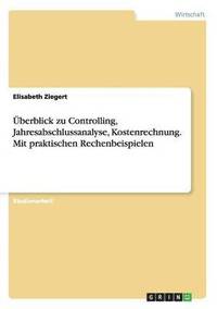 bokomslag berblick zu Controlling, Jahresabschlussanalyse, Kostenrechnung. Mit praktischen Rechenbeispielen