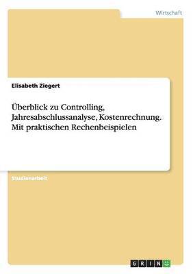 bokomslag berblick zu Controlling, Jahresabschlussanalyse, Kostenrechnung. Mit praktischen Rechenbeispielen