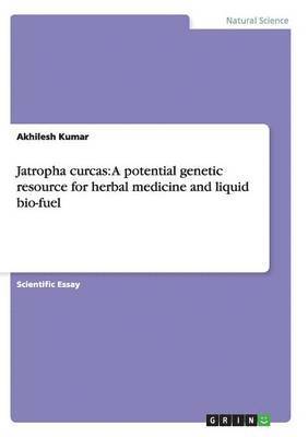 Jatropha curcas 1