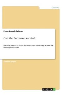 bokomslag Can the Eurozone survive?