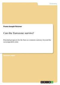 bokomslag Can the Eurozone survive?