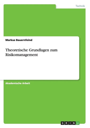 bokomslag Theoretische Grundlagen zum Risikomanagement