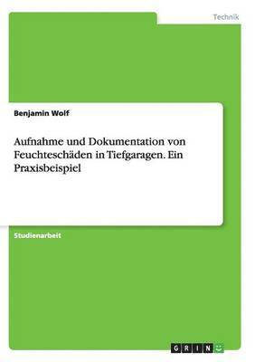 Benjamin Wolf - Aufnahme und Dokumentation von Feuchteschäden in Tiefgaragen. Ein Praxisbeispiel, Häftad