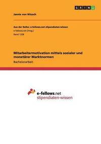 bokomslag Mitarbeitermotivation mittels sozialer und monetärer Marktnormen