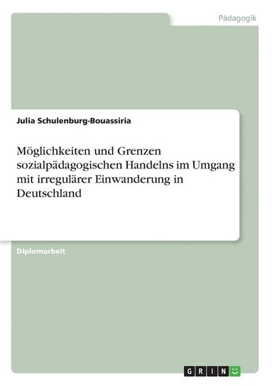 bokomslag Möglichkeiten und Grenzen sozialpädagogischen Handelns im Umgang mit irregulärer Einwanderung in Deutschland