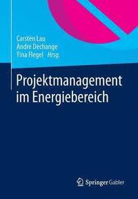 bokomslag Projektmanagement im Energiebereich