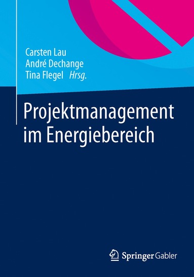 bokomslag Projektmanagement im Energiebereich