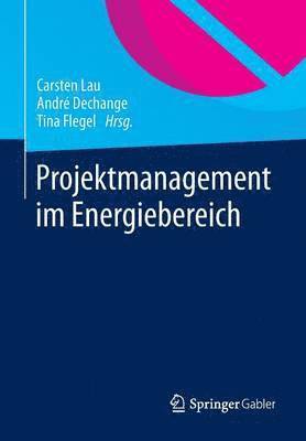 Projektmanagement im Energiebereich 1