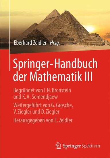 bokomslag Springer-Handbuch der Mathematik III