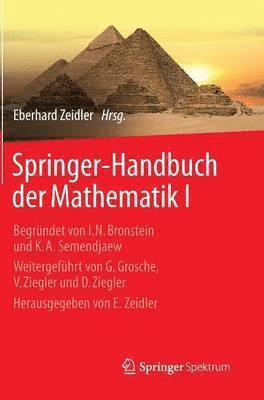 bokomslag Springer-Handbuch der Mathematik I