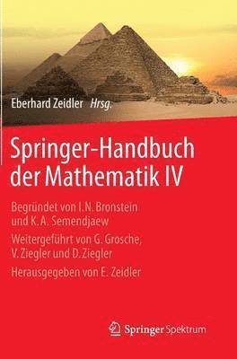 bokomslag Springer-Handbuch der Mathematik IV