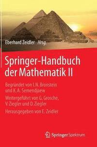 bokomslag Springer-Handbuch der Mathematik II