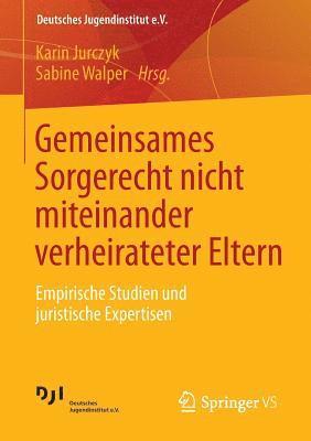 bokomslag Gemeinsames Sorgerecht nicht miteinander verheirateter Eltern