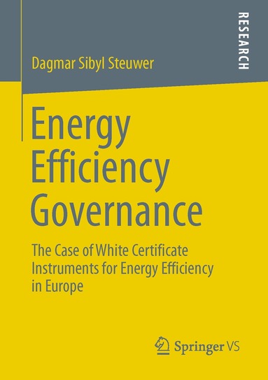 Dagmar Sibyl Steuwer - Energy Efficiency Governance, Häftad
