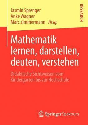 bokomslag Mathematik lernen, darstellen, deuten, verstehen