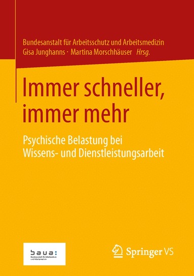 Bundesanstalt für Arbeitsschutz und Arbeitsmedizin, Gisa Junghanns, Martina Morschhäuser - Immer schneller, immer mehr, Häftad
