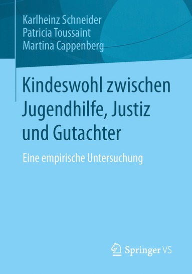 bokomslag Kindeswohl zwischen Jugendhilfe, Justiz und Gutachter