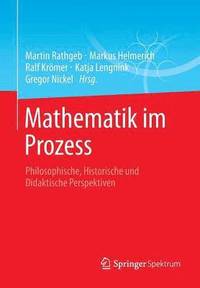 bokomslag Mathematik im Prozess