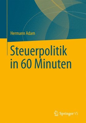 bokomslag Steuerpolitik in 60 Minuten