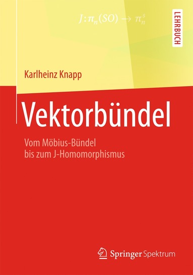 bokomslag Vektorbündel
