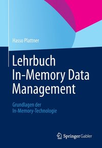 bokomslag Lehrbuch In-Memory Data Management