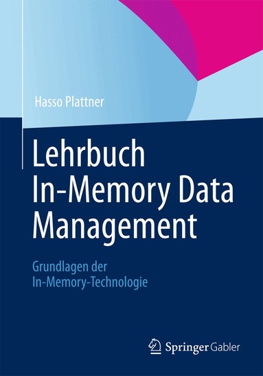 Hasso Plattner - Lehrbuch In-Memory Data Management, Häftad