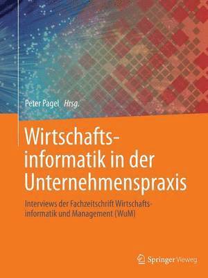 bokomslag Wirtschaftsinformatik in der Unternehmenspraxis