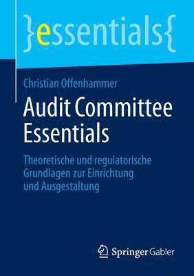 bokomslag Audit Committee Essentials