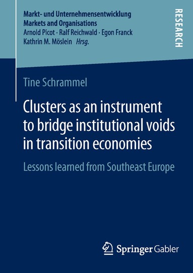 Tine Schrammel - Clusters as an instrument to bridge institutional voids in transition economies, Häftad