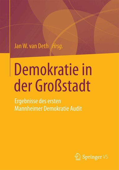 Jan W. van Deth - Demokratie in der Großstadt, Häftad