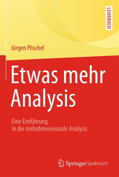 Jürgen Pöschel - Etwas mehr Analysis, Häftad