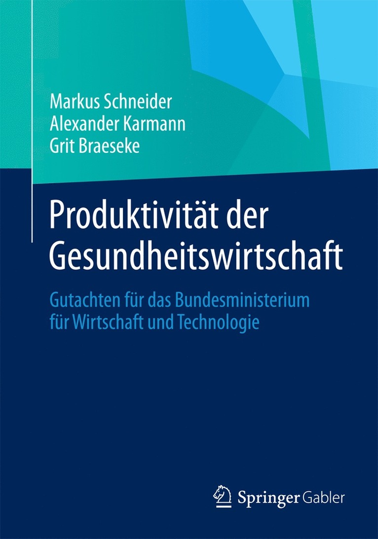 Markus Schneider, Alexander Karmann, Grit Braeseke - Produktivität der Gesundheitswirtschaft, Häftad
