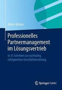 bokomslag Professionelles Partnermanagement im Lsungsvertrieb