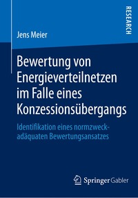 bokomslag Bewertung von Energieverteilnetzen im Falle eines Konzessionsübergangs